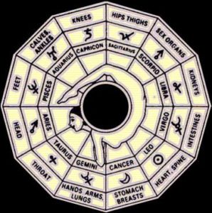 12 Bodily Areas and Zodiac